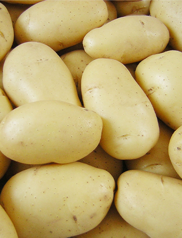 Yemeklik Patates